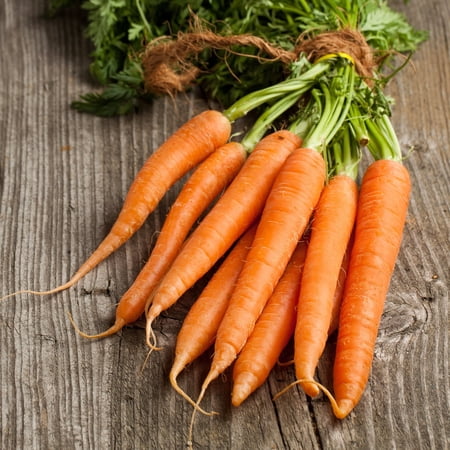 Carrot Seeds - Kuroda Long 8 - 1 Oz ~20 000 Seeds - Daucus carota var. sativus - Farm & Garden Vegetable Seeds - Non-GMO Heirloom Open Pollinated Annual