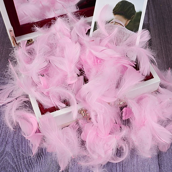 XmhyTop-A 100PCS Fake Goose Craft Feathers - Soft, Natural-Look Feathers for DIY Arts, Decor & Crafts-Light Pink