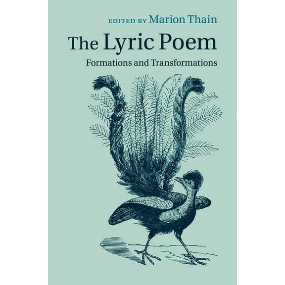 The Lyric Poem, (Paperback)