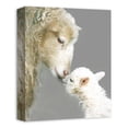 thumbnail image 2 of Creative Products Mom and Child Sheep 11x14 Canvas Wall Art, 2 of 5