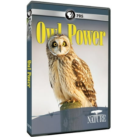 Nature: Owl Power (DVD) (The Best Nature Documentaries)