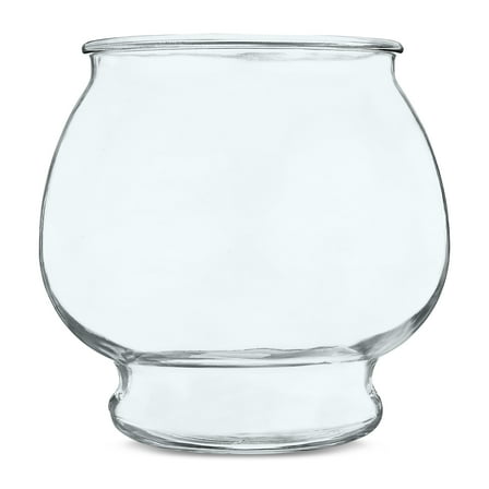 Vibrant Life Footed Glass Fishbowl, 1 Gallon