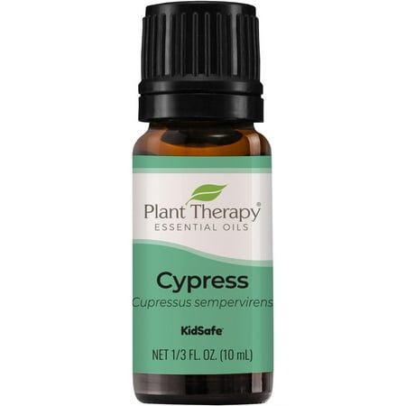 Plant Therapy Cypress Essential Oil 100% Pure, Undiluted, Natural Aromatherapy, Therapeutic Grade 10 mL (1/3 oz)