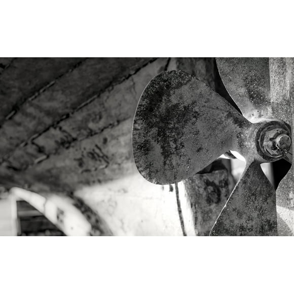 Close-Up Black And White Image Of The Blades Of A Boat's Rusted Propeller; Seahouses, Northumberland, England by John Short / Design Pics (19 x 12)