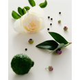 thumbnail image 5 of Perfume Maison Louis Marie Antidris Cassis, Eau de Parfum, 9 ml, 5 of 5