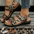 thumbnail image 1 of TrendOFT Sandales Pour Femmes Casual Ladies Fashion Summer Leopard Print Leather Open Toe Hook Loop Sandales Plateforme Pour Femmes Brown 37, 1 of 9