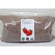 Brown Lentils 10 lbs (Ten Pounds) USDA Certified Organic, Non-GMO, Bulk, by Mulberry Lane Farms