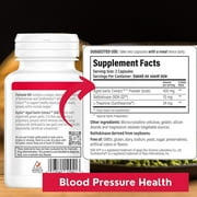 Kyolic Aged Garlic Extract Blood Pressure Health Formula 109 - Non-GMO - 160 Capsules
