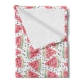 thumbnail image 2 of Watermelon Soft Flannel Fleece Throw Blanket, Watercolor Illustration of Triangle Slices and Scattered Fruit, Cozy Plush for Indoor and Outdoor Use, 50" x 60", Coral Pale Green Black, by Ambesonne, 2 of 5