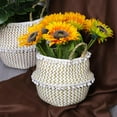 thumbnail image 4 of Groomer 8.6" Round Brown Seagrass Plant Basket with Plastic Liner, 4 of 7