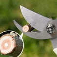 thumbnail image 3 of Tijeras de podar para jardín Apuakthei, paquete de 2, tijeras de podar manuales ultralivianas que permiten un corte suave y limpio, tijeras de jardinería profesionales para cortar flores vivas,, 3 of 5