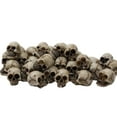thumbnail image 4 of Guardoinrt 20pcs/set Realistic Skeleton Skulls For Halloween Decoration - Lightweight And Portable Thick 20pcs 5Set, 4 of 6