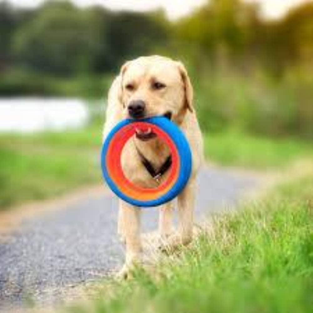 Chuckit Fetch Wheel Outdoor Rubber Dog Toy, Large, For Large Breeds