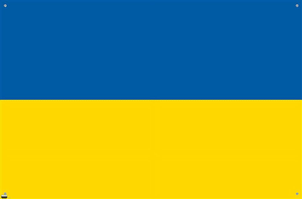 Ukrainian Flag Wall Poster with Pushpins, 22.375" x 34"