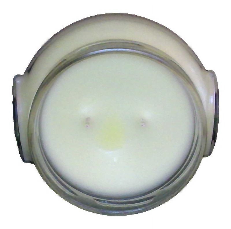 (4 pack) Tyler Candle Company - Limelight - 22oz jar candle - with Tyler matches