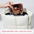 thumbnail image 6 of Fox Velvet Portable Storage Box with Removable Compartment - a Stylish Decorative Box, Bracelet Holder, and Jewelry Stand - Gift, 6 of 7