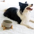 thumbnail image 5 of Spunkyjunky 15 Cuenco Inclinado De Cerámica Para Perros Y Gatos Con Soporte De Madera, Cuenco Inclinado Para Comida Y Agua, Antideslizante, Antiderrames, Para Gatos, Perros Medianos, Mascotas De Cara, 5 of 5