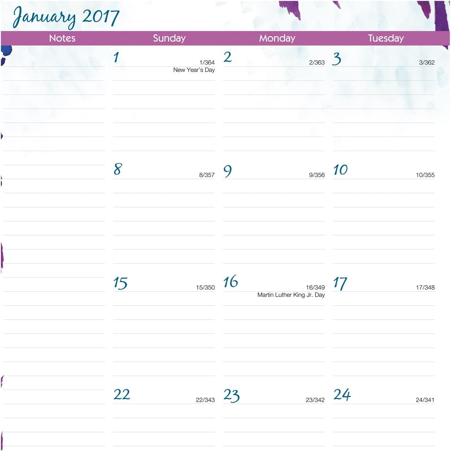 AT-A-GLANCE Weekly / Monthly Planner / Appointment Book 2017, 8-1/2 x 11", Professional, Wild Washes (523-905) Large 2017