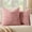 Blush Pink, variant on Fall Rust Boho Decorative Throw Pillow Covers for Couch 18x18 Inch