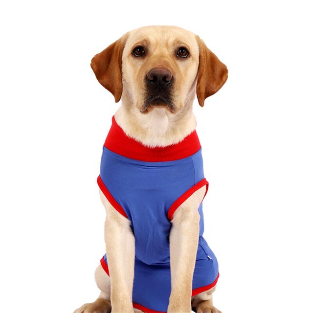 Traje de recuperación para perro, abrigo para cachorro, chaleco de protección para heridas después de la cirugía, ropa para mascotas, Protector de heridas abdominales, mono con cremallera, XS-3XL