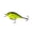 Chartreuse Black Back, variant on 6th Sense – Crush Series Squarebill Crankbait Bass Fishing Lure, Shallow Diving Hard Bait