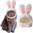thumbnail image 1 of Sombrero de Conejito y Gato YONGSHENG Gorro para Perro Disfraz Divertido, 1 of 4