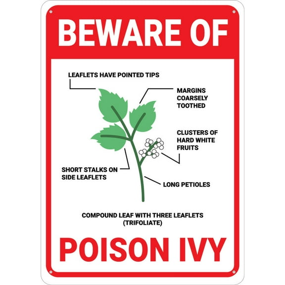 Beware Of Poison Ivy Sign 12X8 Inch Aluminum Uv Ink Printed For House And Business