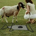thumbnail image 6 of PBPBOX Livestock Goat Anti Breeding Apron Adjustable Strap Sheep Protective Cover Black, 6 of 6