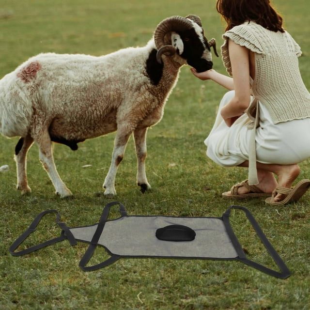 FUEENIRVA Delantal Ajustable Para Ganado Prevención De Cruces En Cabras Y Ovejas Material Transpirable