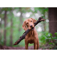 thumbnail image 2 of Rawternative Air-Dried Raw Dog Food - Beef & Chicken - 2 Pack | MerlinsMart Zine & PercyLoves Pal Furresher, 2 of 8