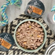Pure Balance Chicken and Gravy Wet Dog Food, Grain-Free, 3.5 oz Cup