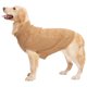 thumbnail image 1 of Ropa para perros de 2 piezas, suéter para mascotas, suéter sólido de invierno, 1 of 6