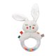 thumbnail image 1 of Baby Rattles Ring Toy Soft Plush Colorful Bright Color Rattle Newborn Sensory Toy Type C, 1 of 4