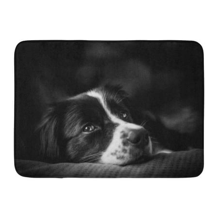 Border Collie Black And White - GODPOK Animal Mix Emotion Down Black and White Border Collie Adult Attentive Rug Doormat Bath Mat 23.6x15.7 inch