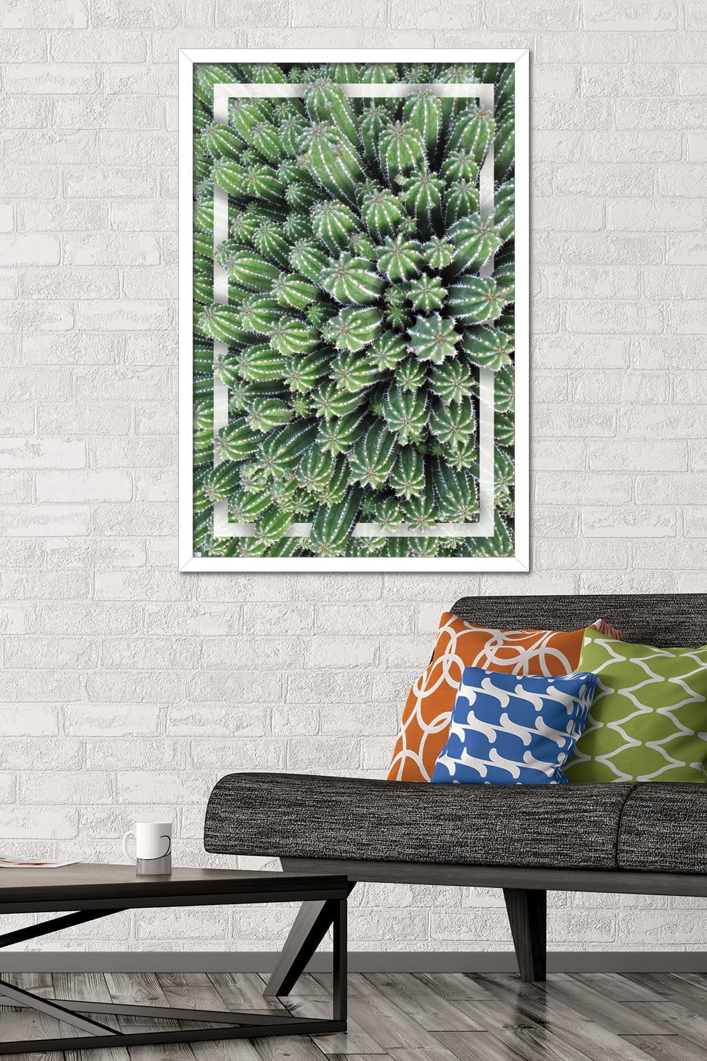 Cactus - Group Wall Poster, 22.375" x 34", Framed