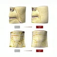thumbnail image 3 of Centellian 24 Madeca Cream Time Reverse (Season 7) 1.69 fl oz, 3PACK, 3 of 7