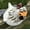 003, variant on Laimis Funny Farm Chicken Statues - Whimsical Resin Chicken Fence Decor for Home Garden and Patio