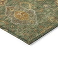 thumbnail image 3 of Addison Rugs Chantille Indoor/Outdoor Traditional Global Fern Machine Washable Rectangle Rug, 9' x 12', 3 of 8