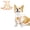 Orange-Female, variant on BT Bear Dog Protection Vest, Warm Breathable Chest and Belly Protector Vest, Doggie Shirt Vest for Small Medium Large Dogs (Orange-Female,S)