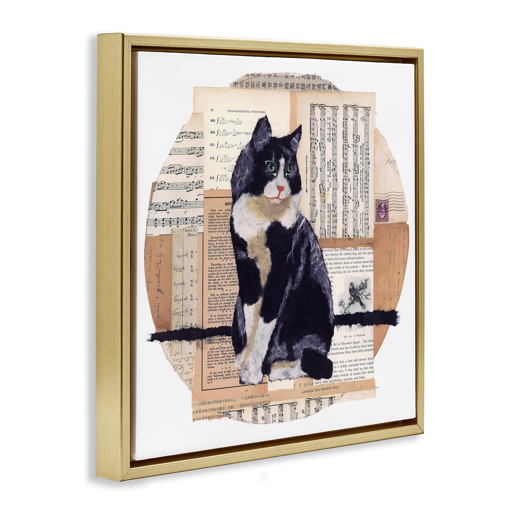 Stupell Industries Tuxedo Cat Collage Animals & Insects Painting Gold Floater Framed Canvas Art Print Wall Art, 25 x 25