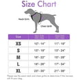 thumbnail image 2 of rabbitgoo Dog Harness  No-Pull Pet Harness with 2 Leash Clips  Adjustable Soft Padded Dog Vest  Reflective No-Choke Pet Oxford Vest with Easy Control Handle for Large Dogs  Teal  L, 2 of 9
