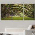thumbnail image 2 of wall26 - 3 Piece Canvas Wall Art - Oaks Avenue Charleston SC Plantation Live Oak Trees Forest Landscape - Modern Home Art Stretched and Framed Ready to Hang - 24"x36"x3 Panels, 2 of 5