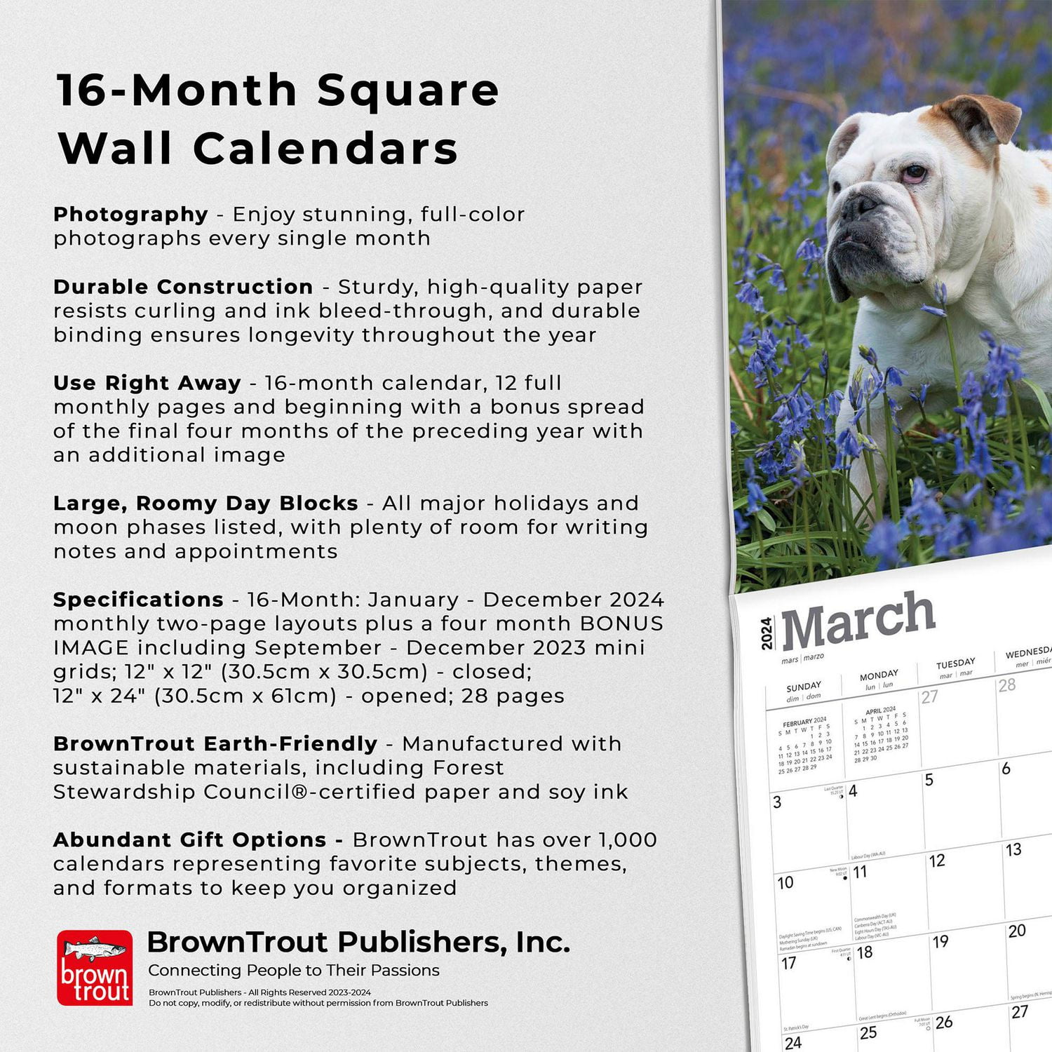 BrownTrout English Bulldogs 2024 12x24 Inch Square Wall Calendar, 9781975462017