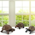 thumbnail image 3 of A Lifelike Tortoise Animal Model For Home Decoration Preschool Educational Toy For Kids, 3 of 7