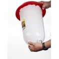 thumbnail image 6 of Little Giant 3 Gallon Poultry Drinker 2-Pack Gravity Fed Chicken Waterer Red Base, 6 of 7