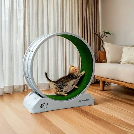 Cat Exercise Wheel for Indoor Cats, Running Wheel with Carpeted Runway and Locking Mechanism, Cat Treadmill Exerciser for Fitness Health, Suitable for Most Cats Christmas Gift