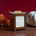 thumbnail image 3 of Scentsationals Wax Melt Warmer, Wax Warmer for Scented Wax Melts - Autumn Collection Pumpkin Cider - Candle Wax Melter for Fragrance Cubes and Tarts, 3 of 5