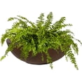 thumbnail image 1 of ZYPPPA Percival 20.75" Shallow Outdoor Planter Bowl for Flowers and Succulents - Polyresin Double-Walled Design - Rust, 1 of 17