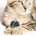thumbnail image 2 of KAKOWELY 6 pelotas de peluche para gatos y gatitos, juguete interactivo divertido para masticar., 2 of 4