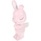 thumbnail image 1 of Money Saving Bank Rabbit for Girls Boys Pink Resin Saving 1Pack, 1 of 4